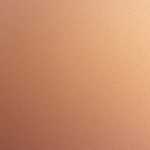 サイトから売れた動画2023年度集計結果途中発表